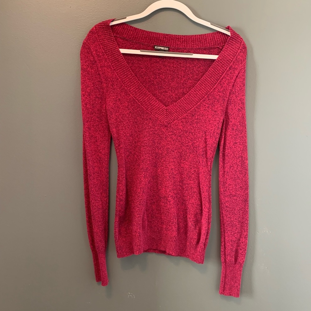 Express: V-neck Sweater